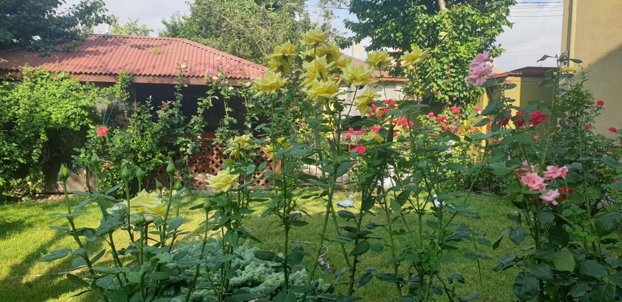Villa Mugur Două Mai Exterior foto